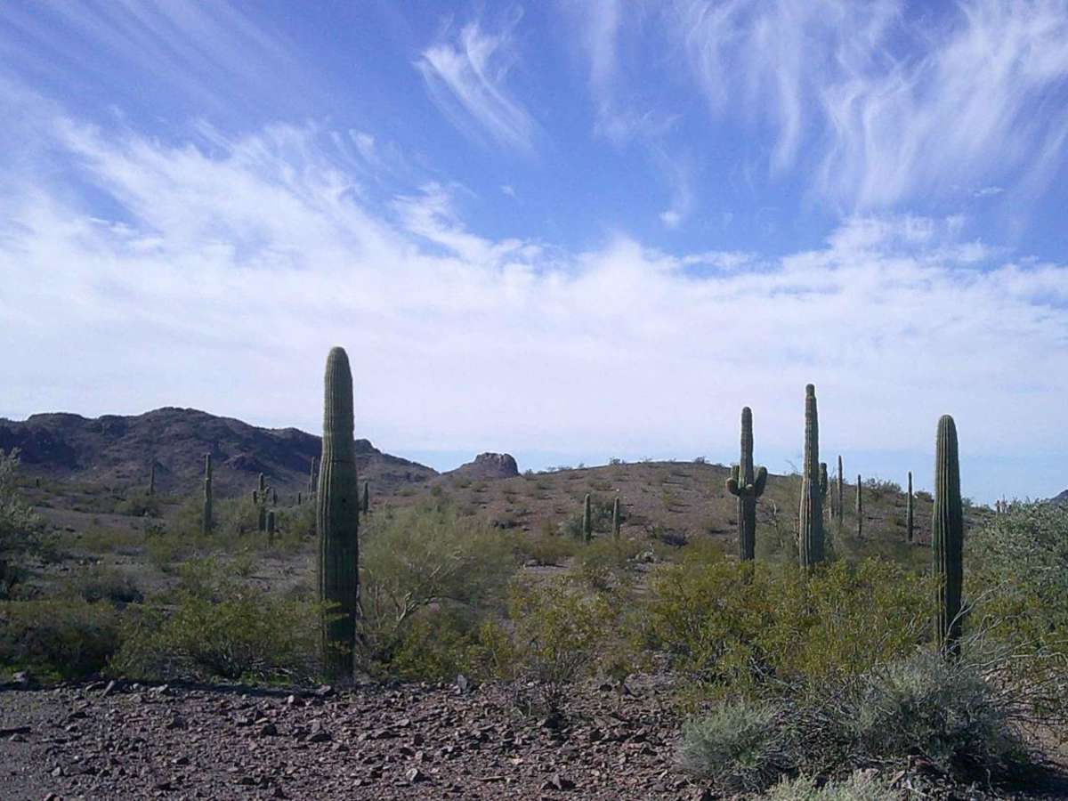 Cactus Road trail photo