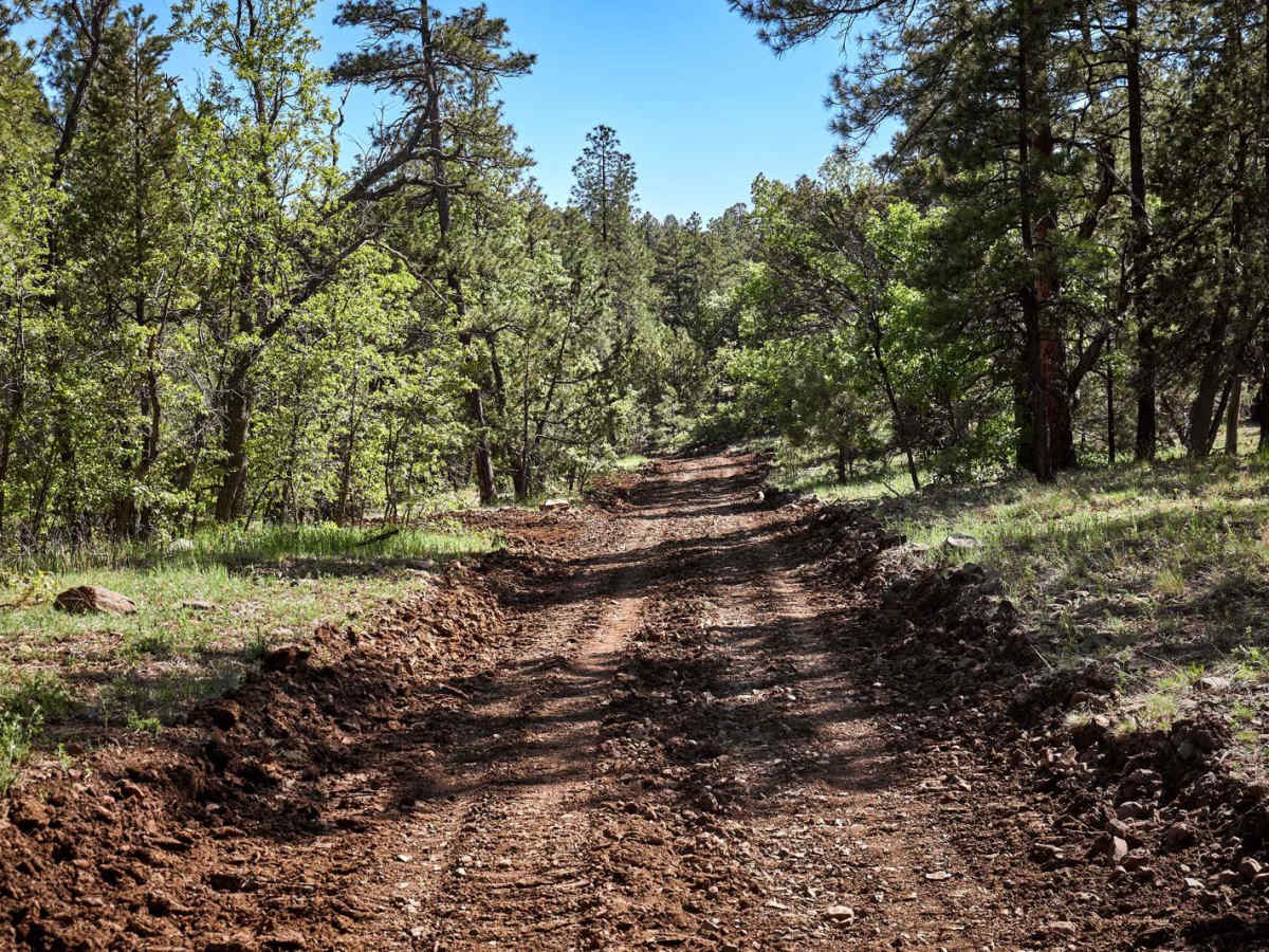 Sleeping Coyote Run photo 6