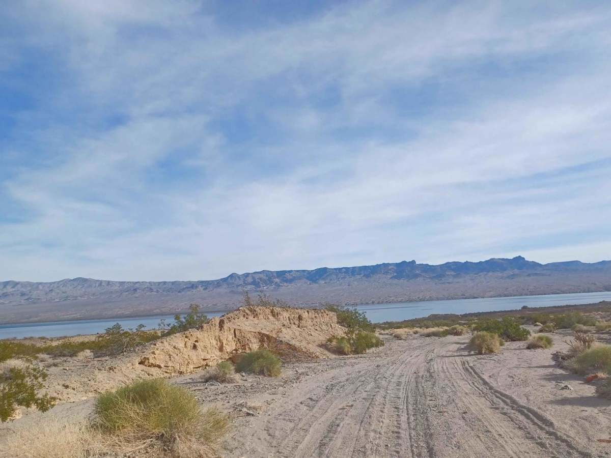 Nellis Cove Road photo 5