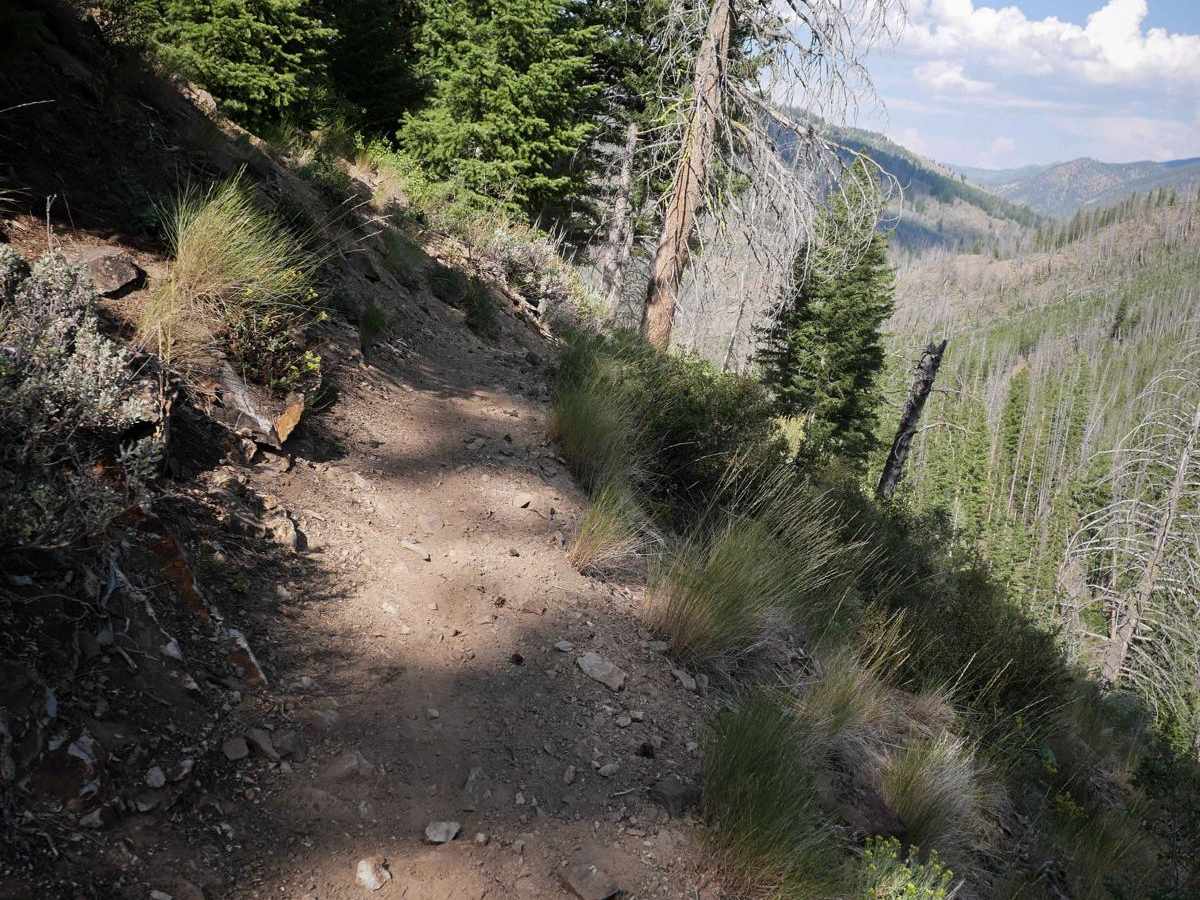 Deadwood Creek photo 4