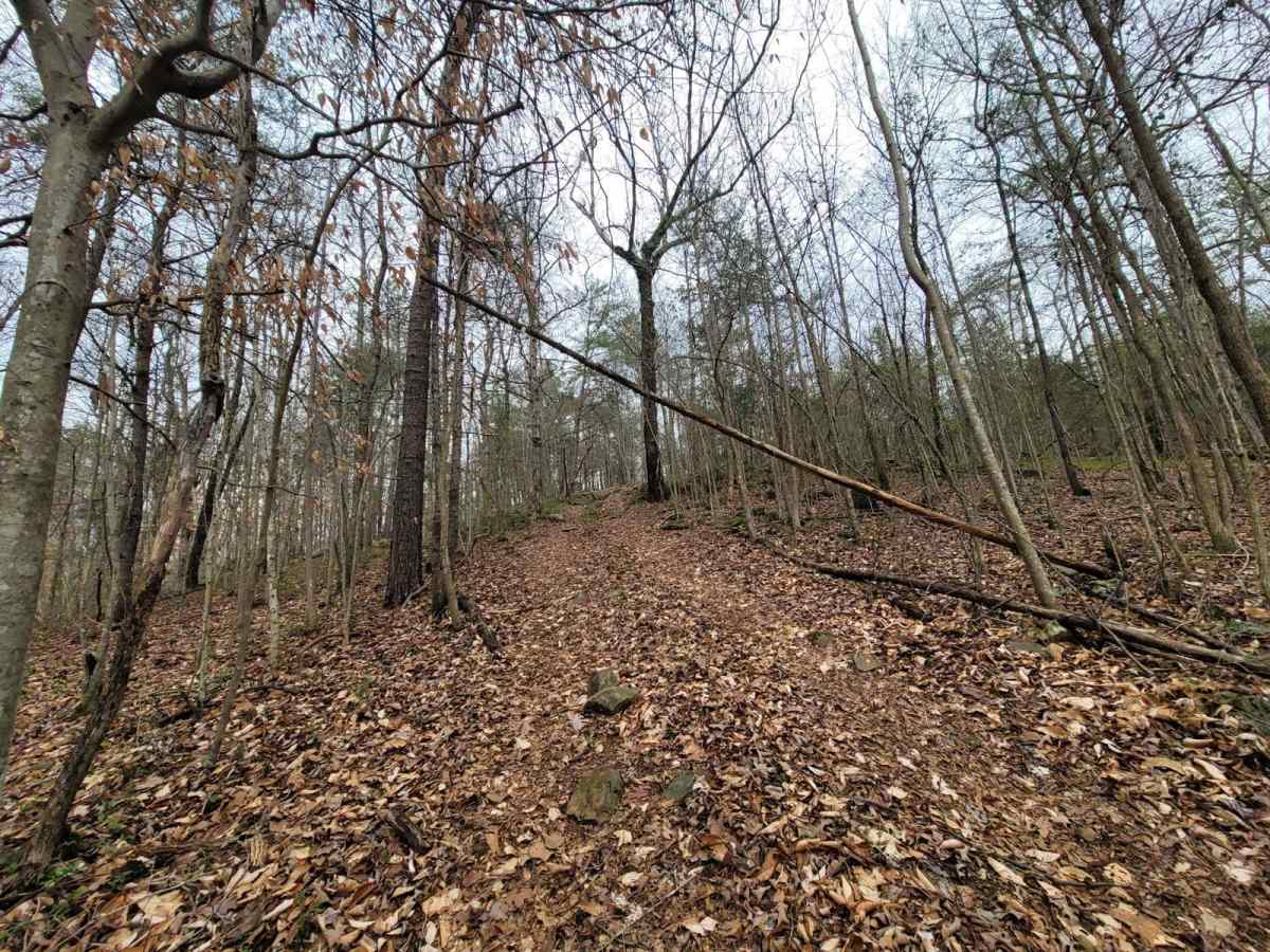 Hornets Nest Bypass photo 3