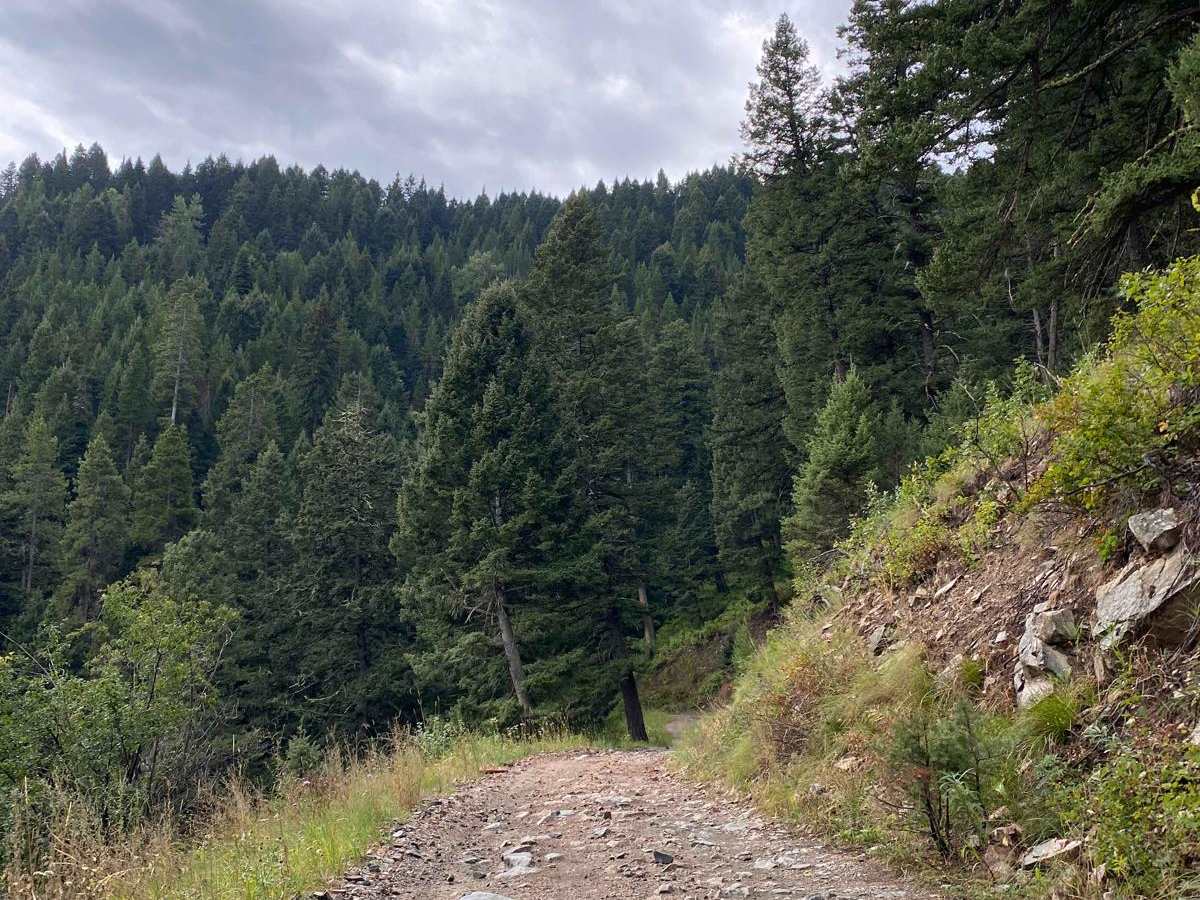 Cliff Creek Trail photo 2