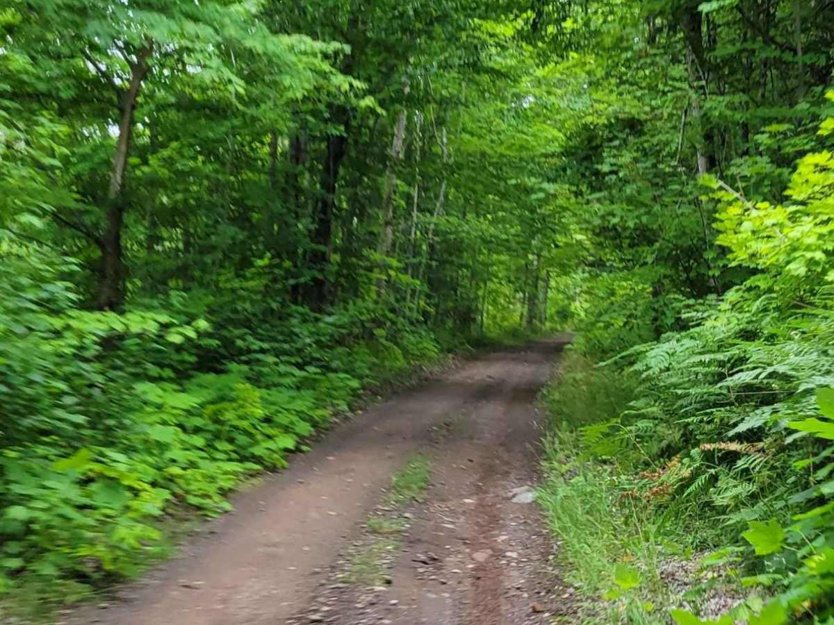 Keweenaw State Trail Segment 1 photo 5