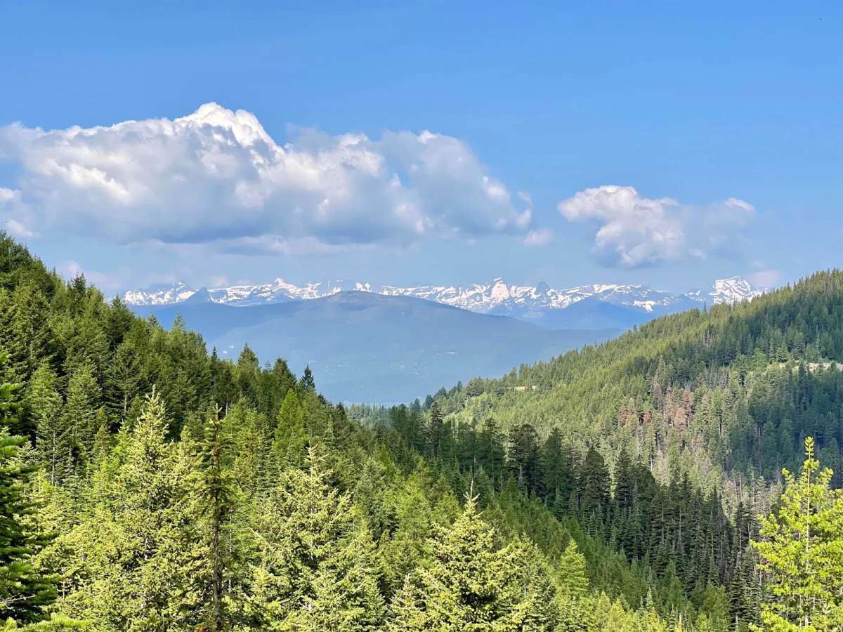 Rice Ridge Road trail photo