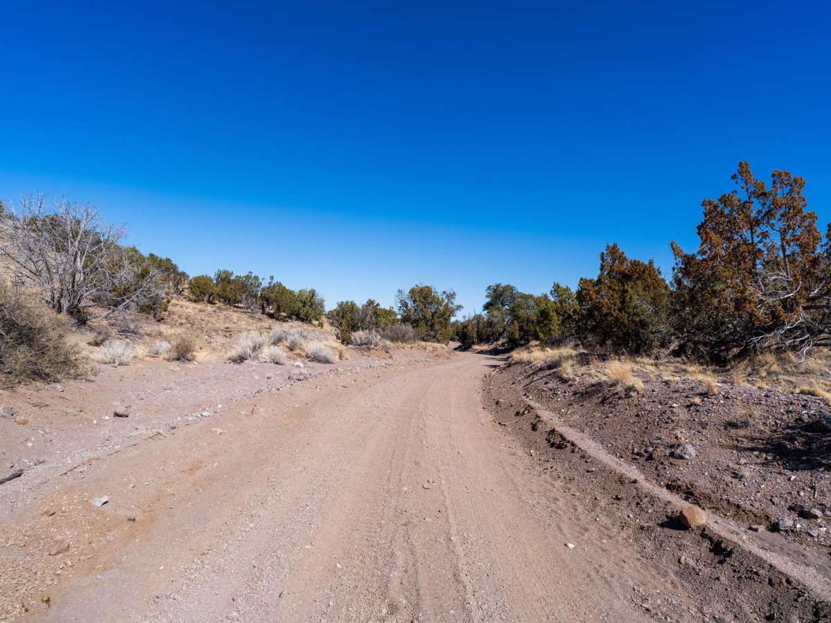 Adobe Springs photo 4