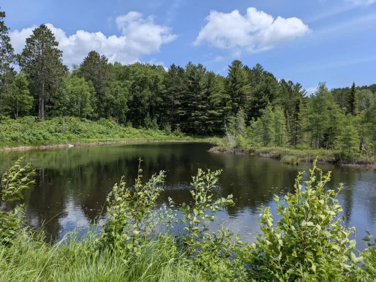 Crooked Lake Road photo 3