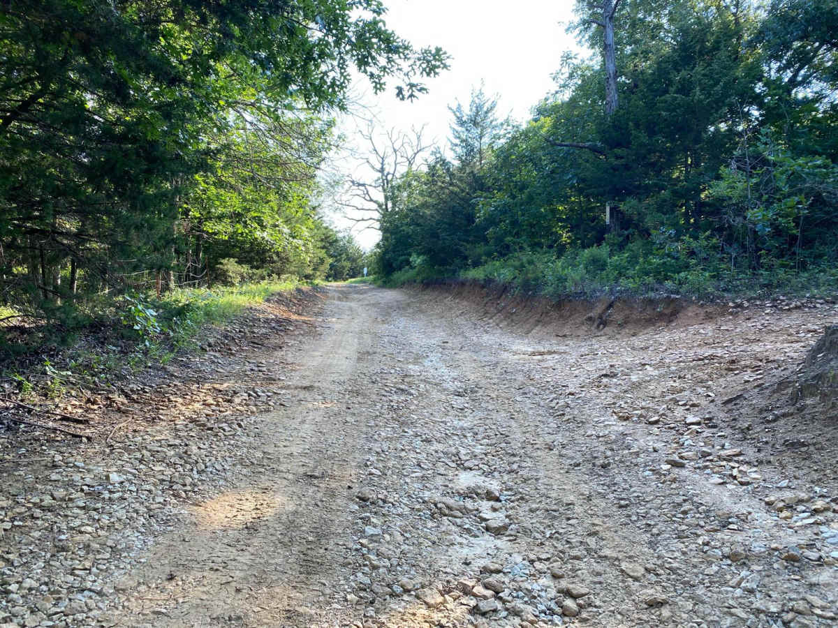 East Hill photo 4