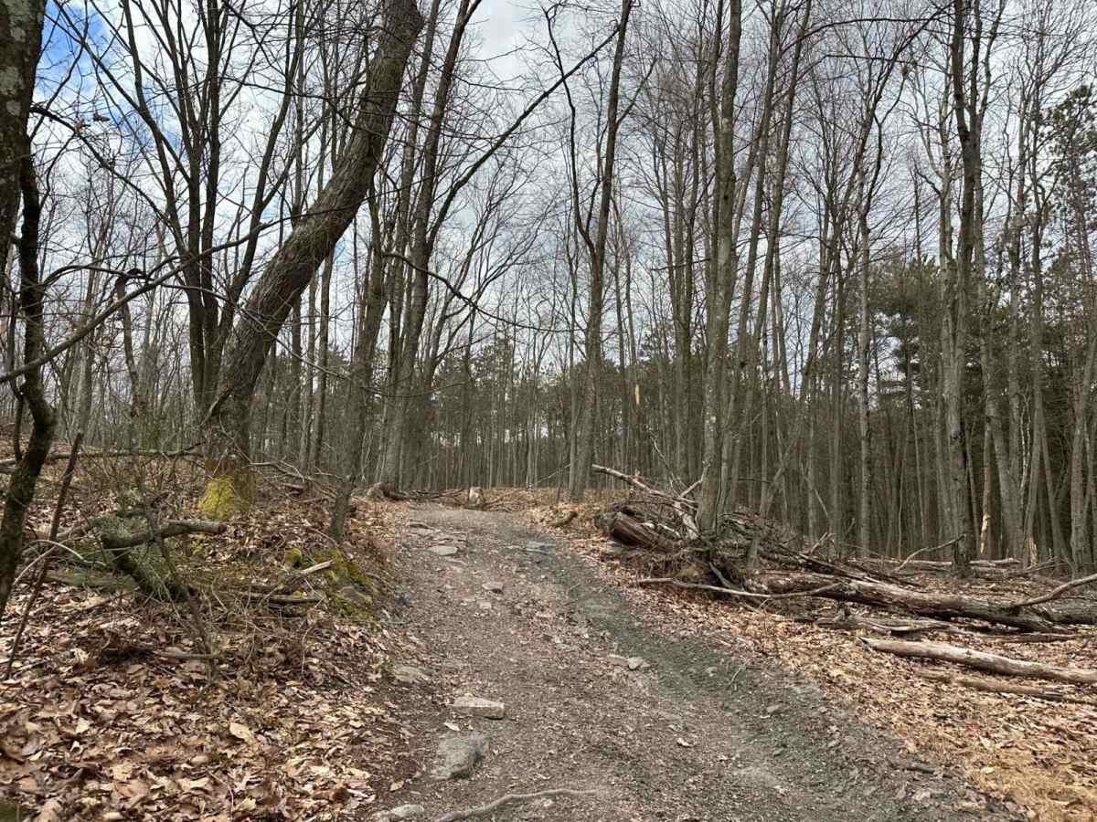 Ashland 28 photo 5