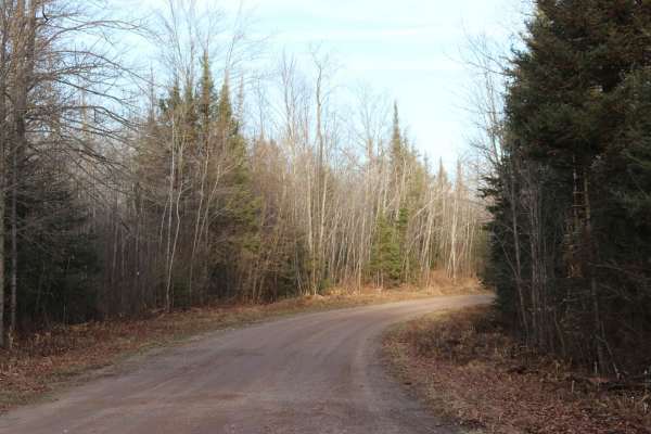 Long Lake Road - FS 2168