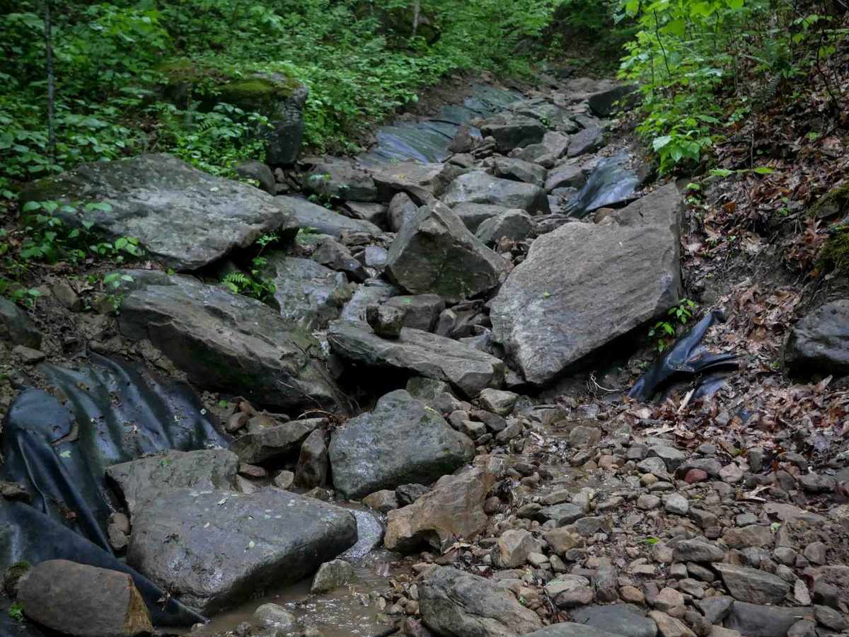 B75 trail photo