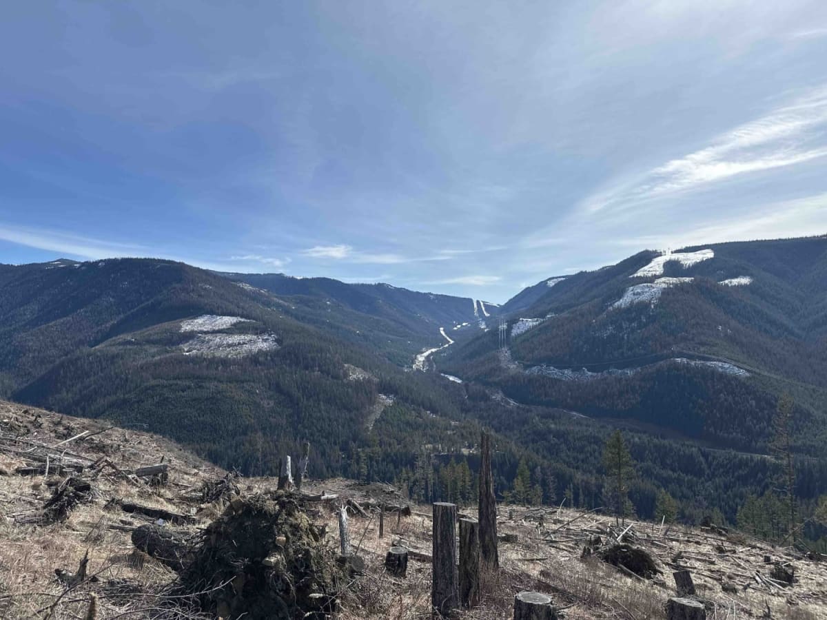 Airport to Tower trail photo