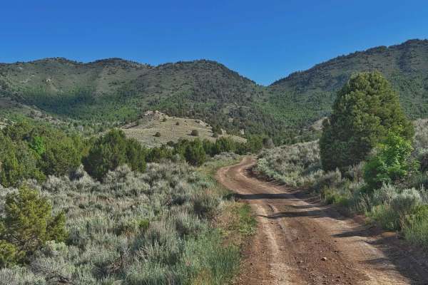Prospector OHV Backway Complex