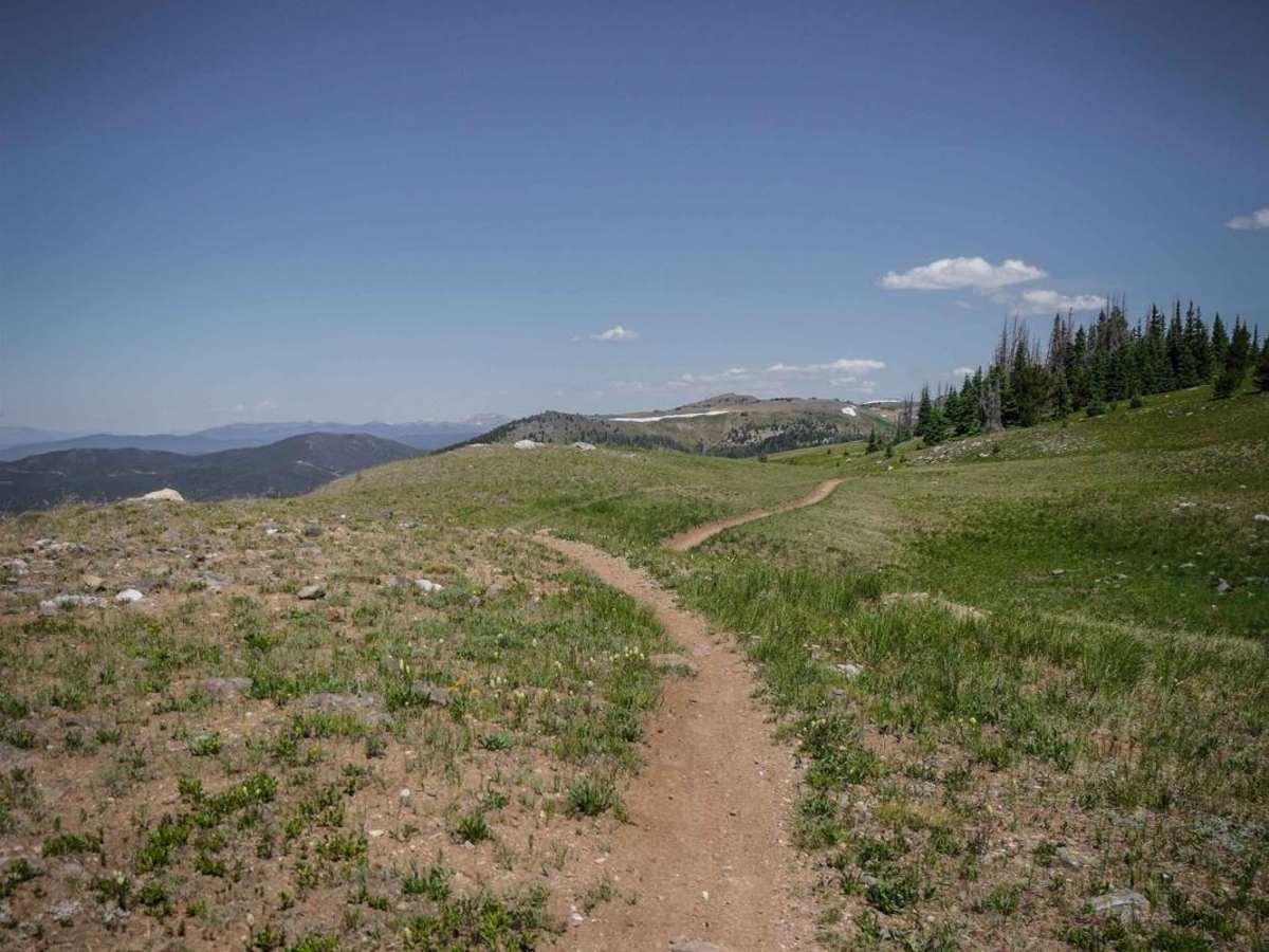 Monarch Crest photo 2
