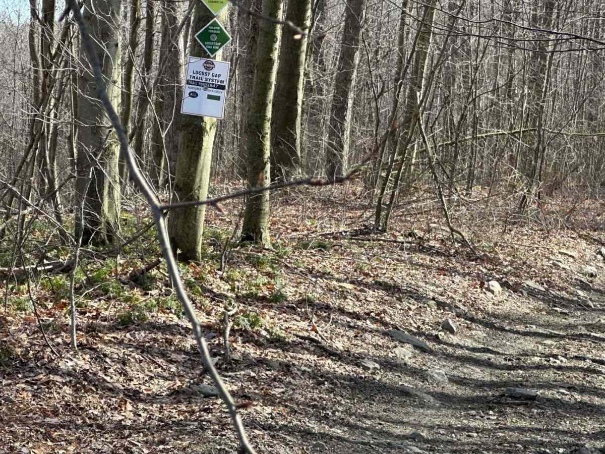 Locust Gap 47 trail photo