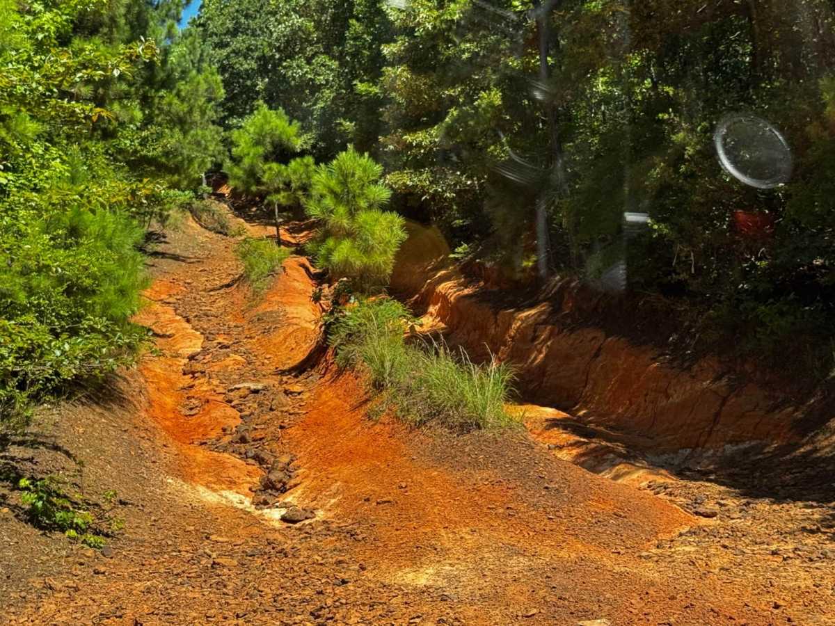 Pipeline Road photo 5