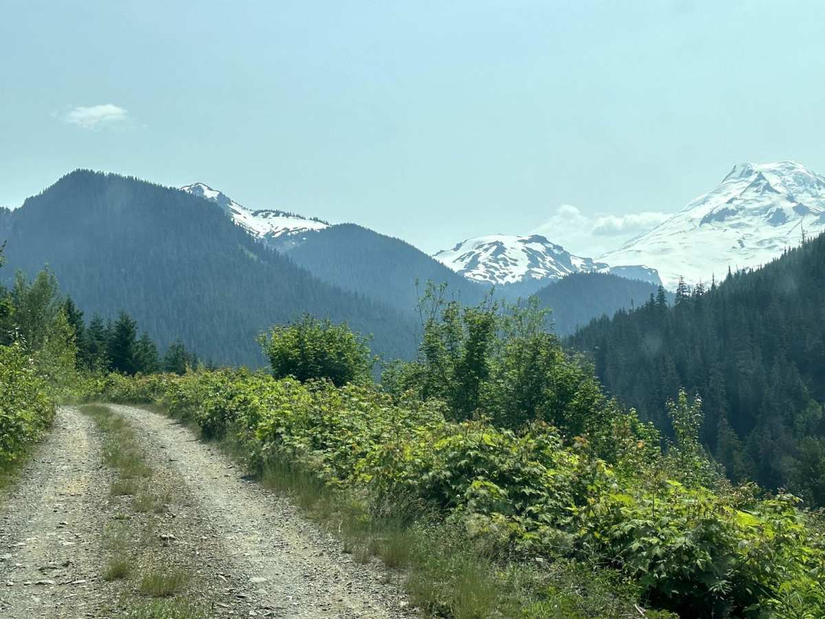Well's Creek Road photo 3