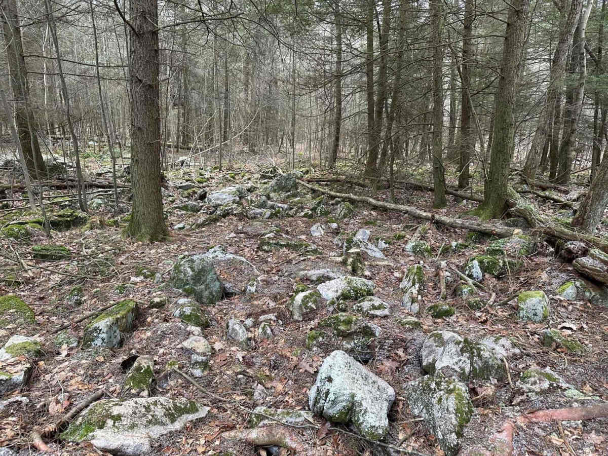 19 Black trail photo