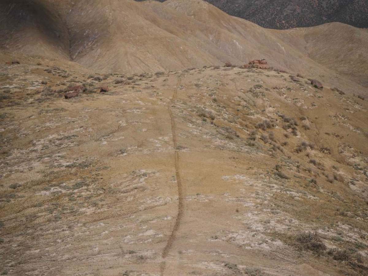 South Landfill Ridge photo 4