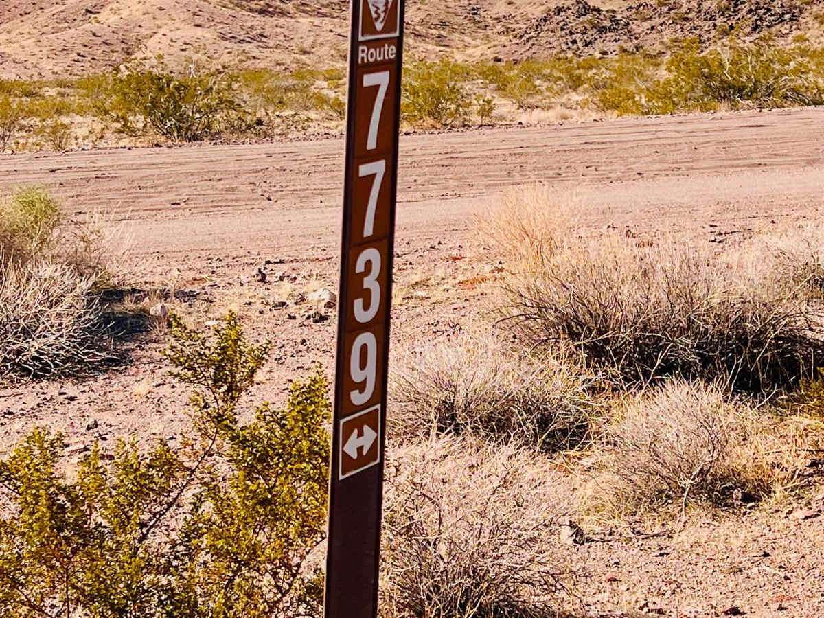 Middle Mine Fun photo 5