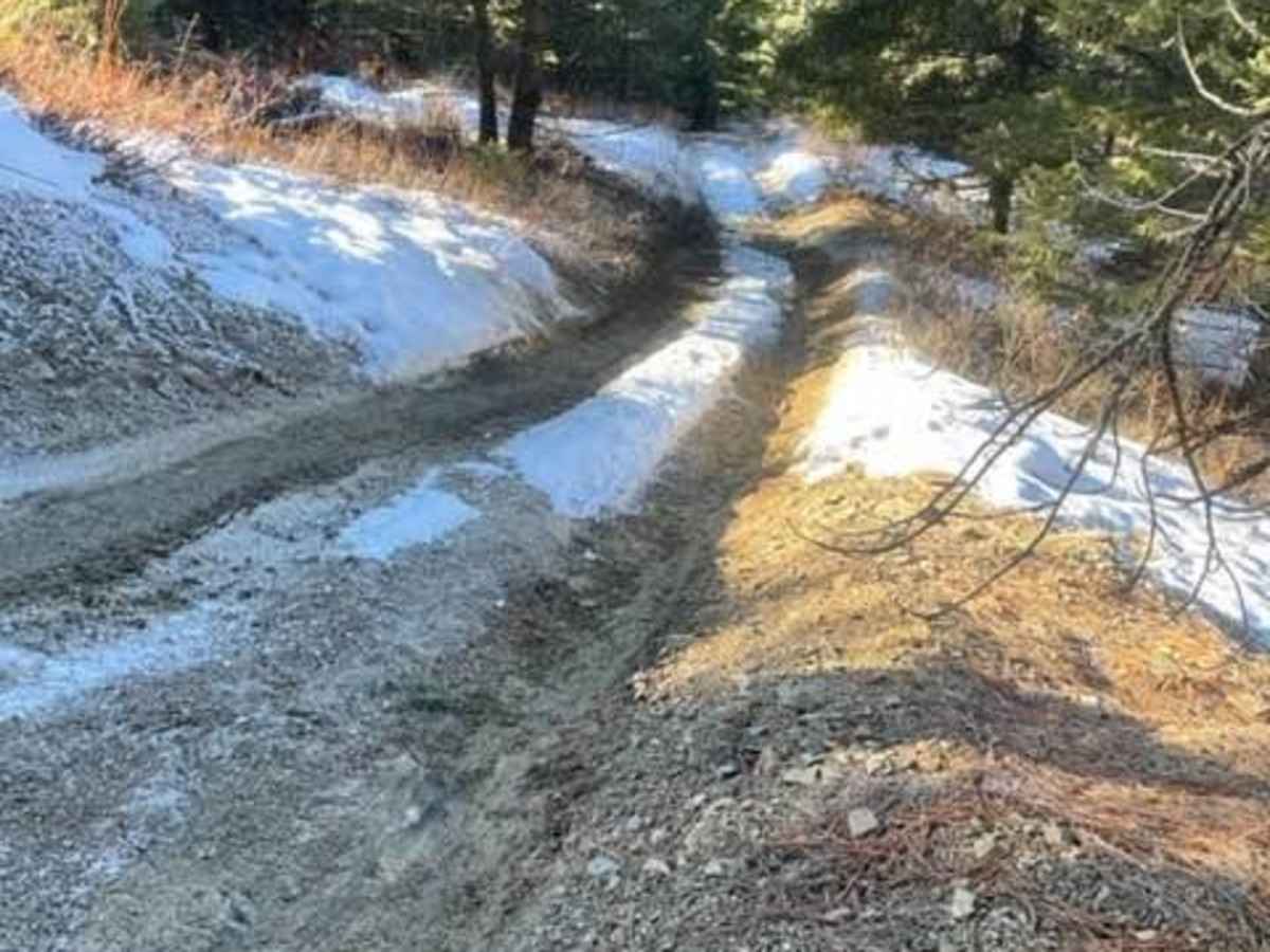 Pine Point photo 5