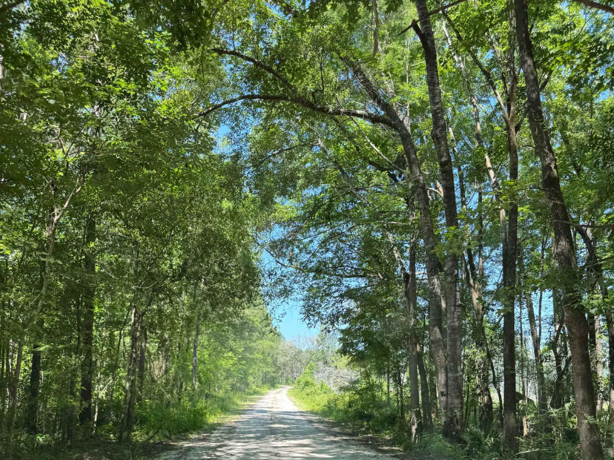 Satilla WMA Tour photo 2