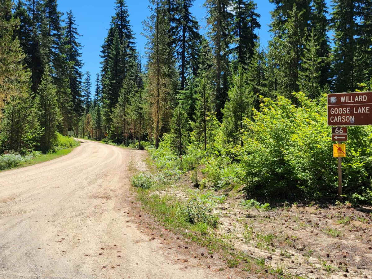 FR 66 - South Prairie Road trail photo