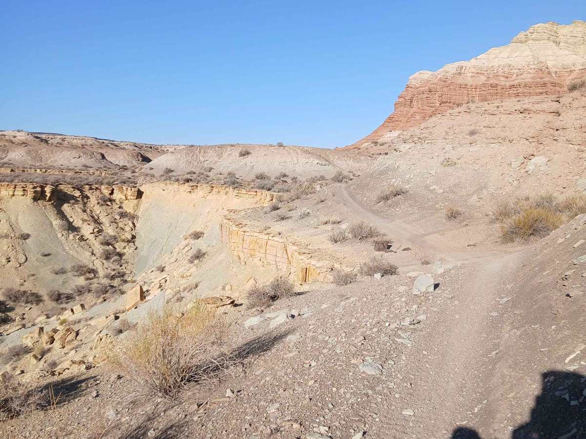 Mini Canyon Tracer photo 2