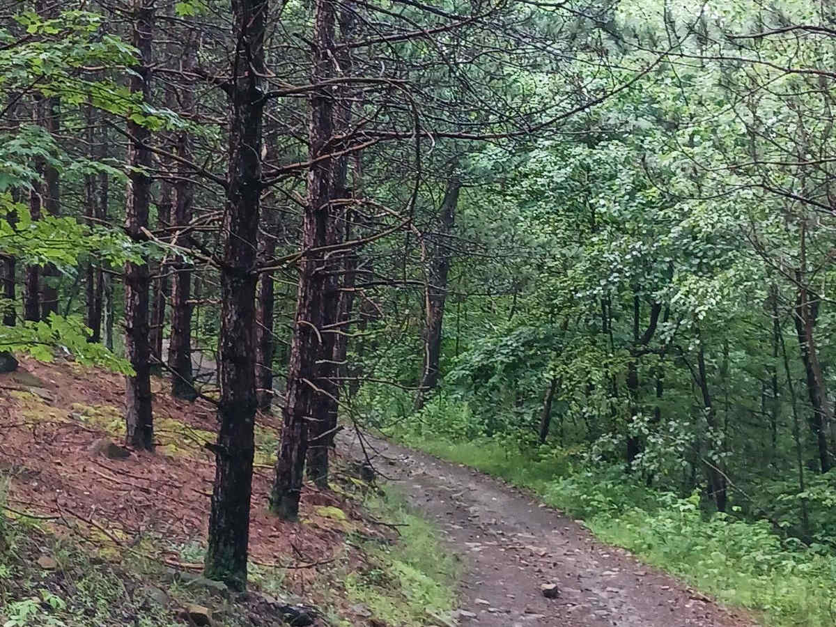 Trail 11D - Rock Run Recreation Area photo 6
