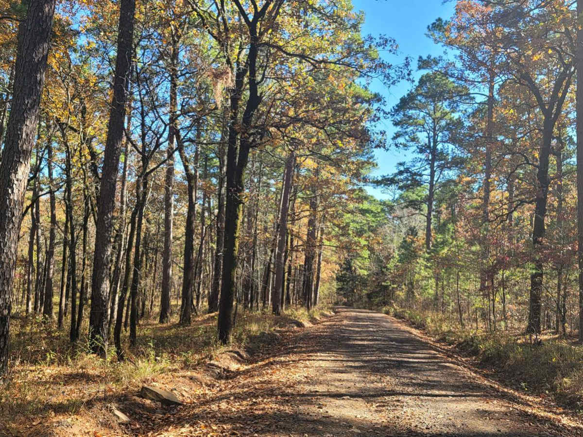 Champ Road to Nella Road photo 2