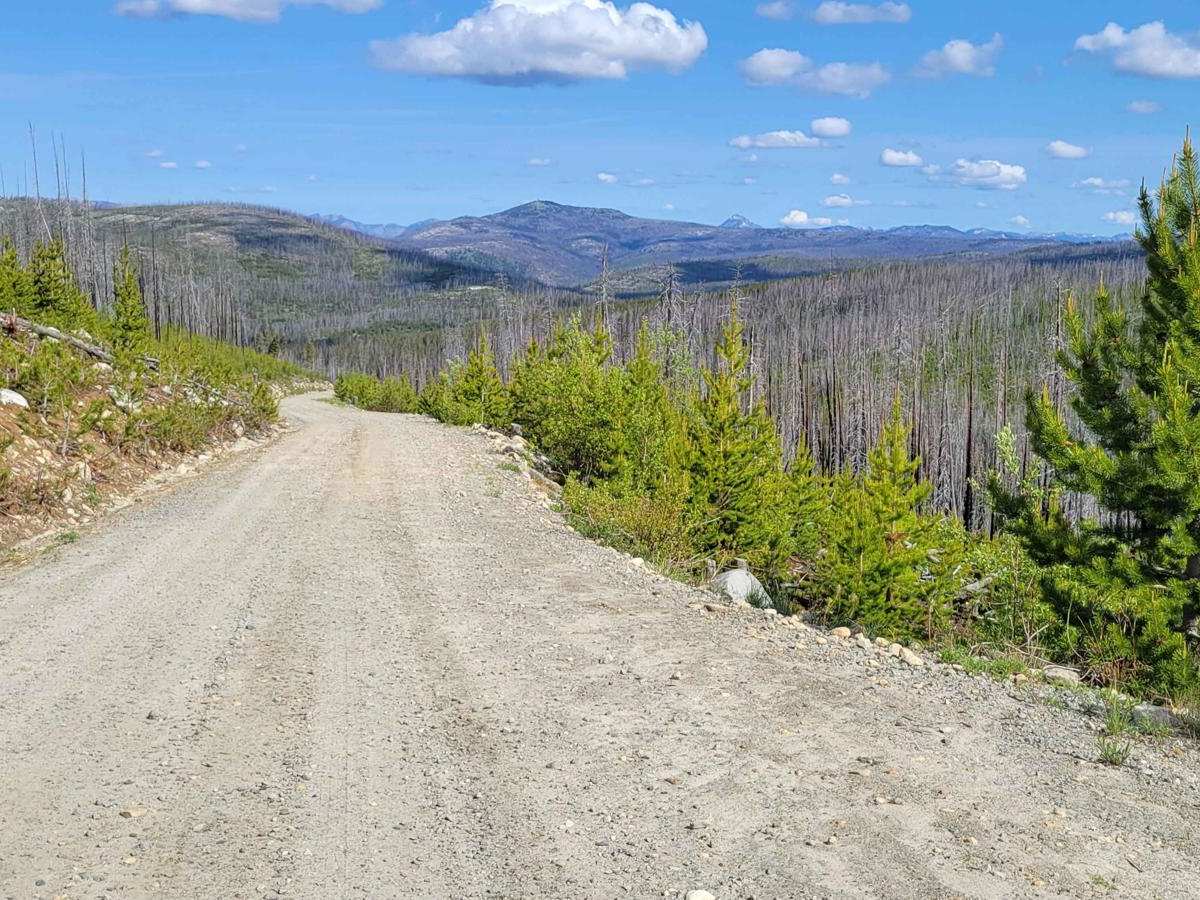 NF 39 (South) - Meadows-Toats photo 3