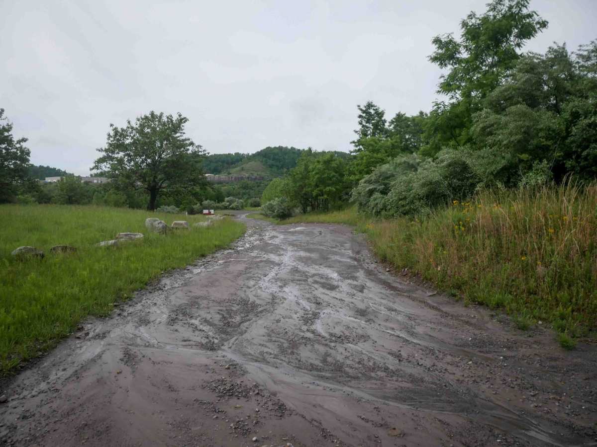 CC8 trail photo