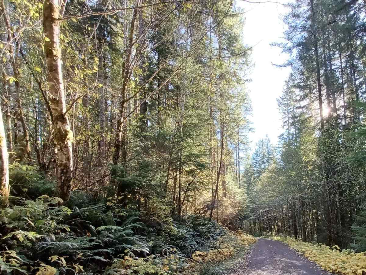 Foland Creek photo 4