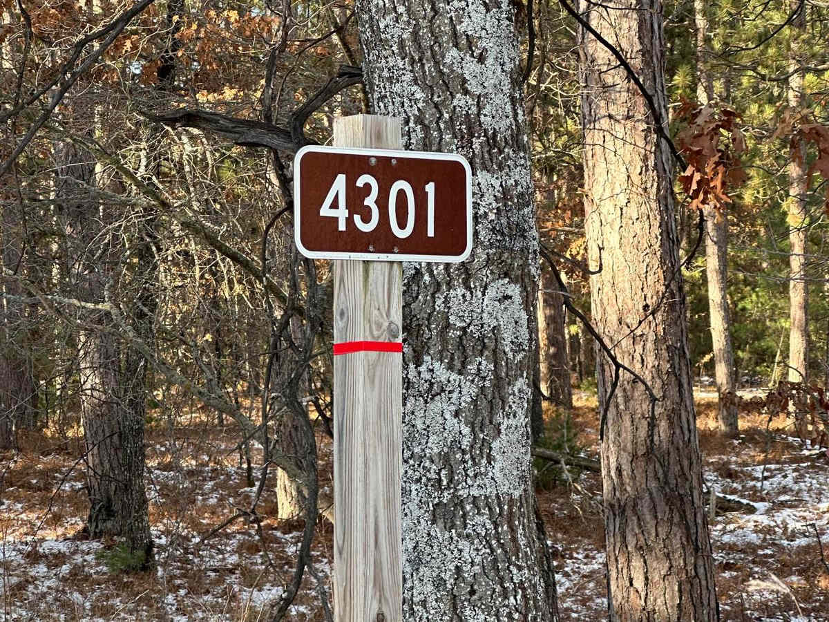 FS 4301 B trail photo