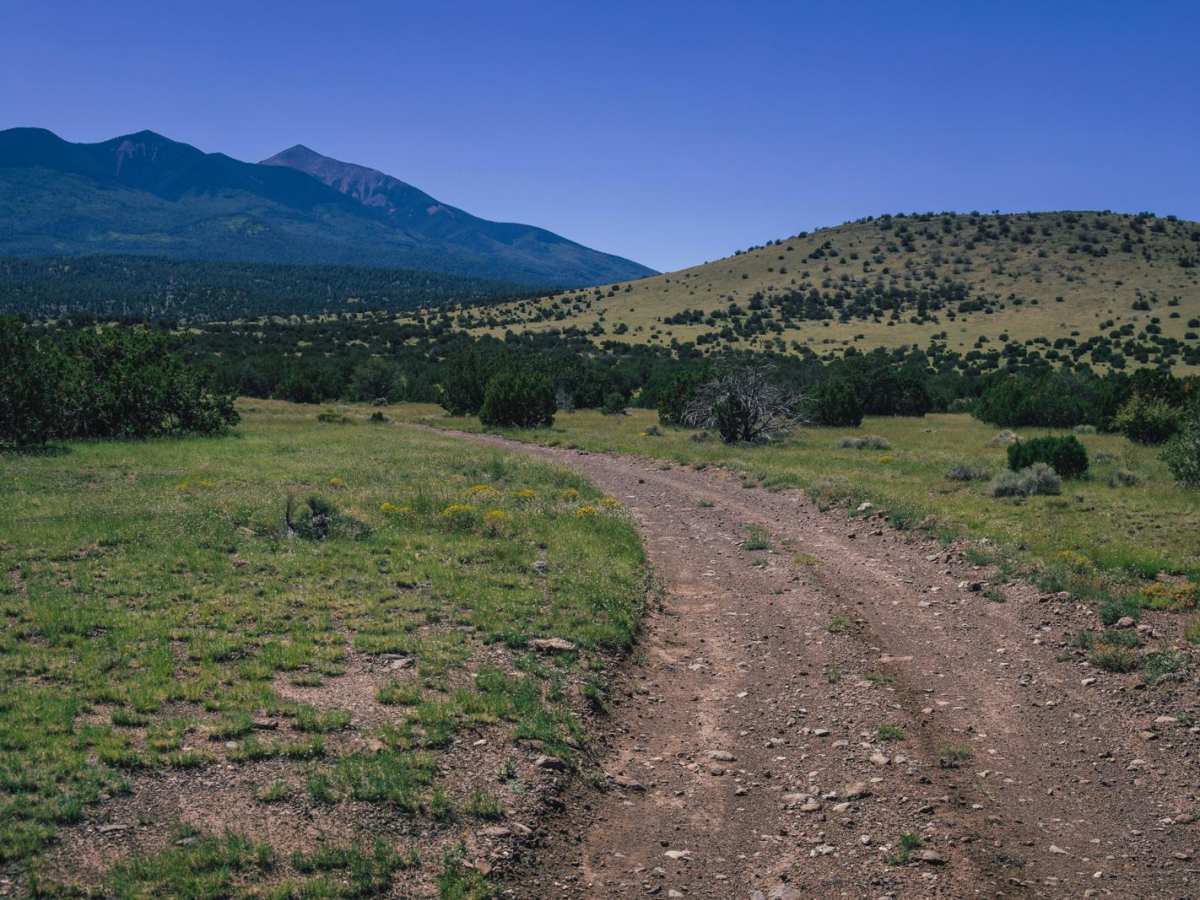 Reese Canyon photo 4
