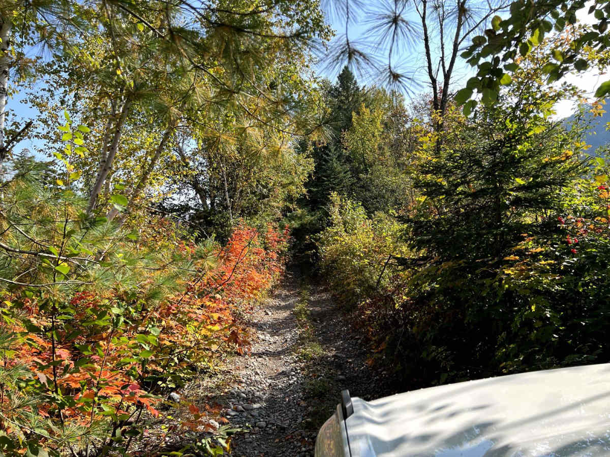 Rudy-Vera Memorial Trail photo 2