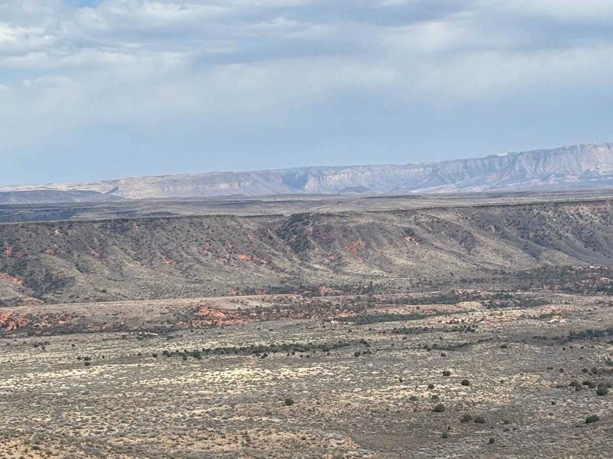 Mesquite Overlook photo 4
