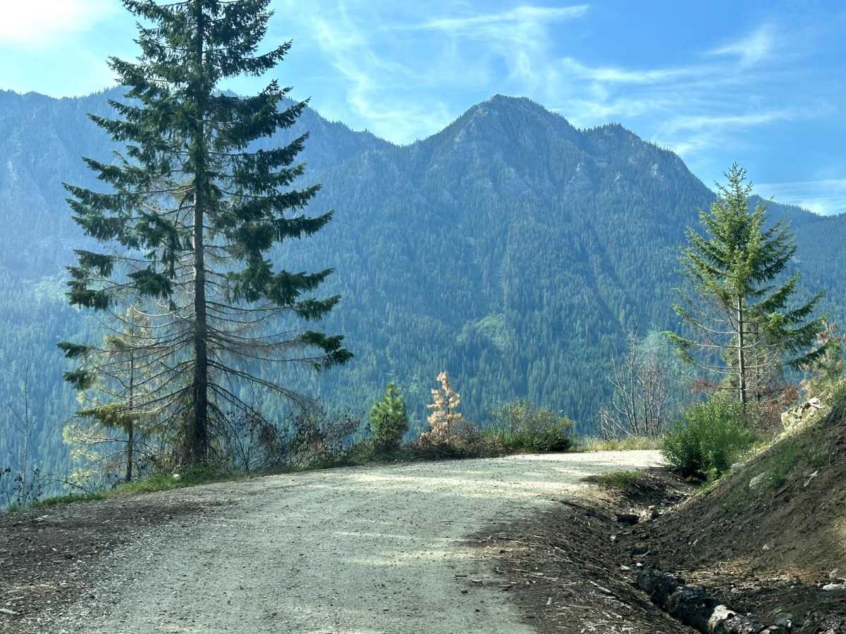 Wenatchee Ridge Overlook Trail photo 2