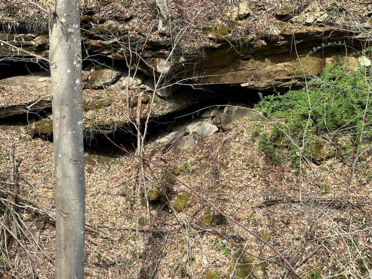 Rich Creek Connection photo 2