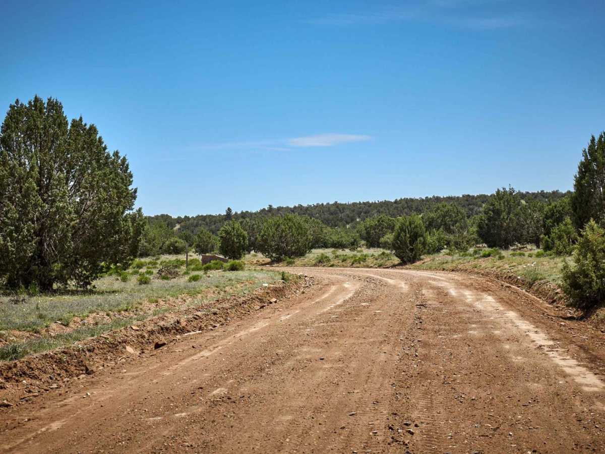 Washboard Way photo 2