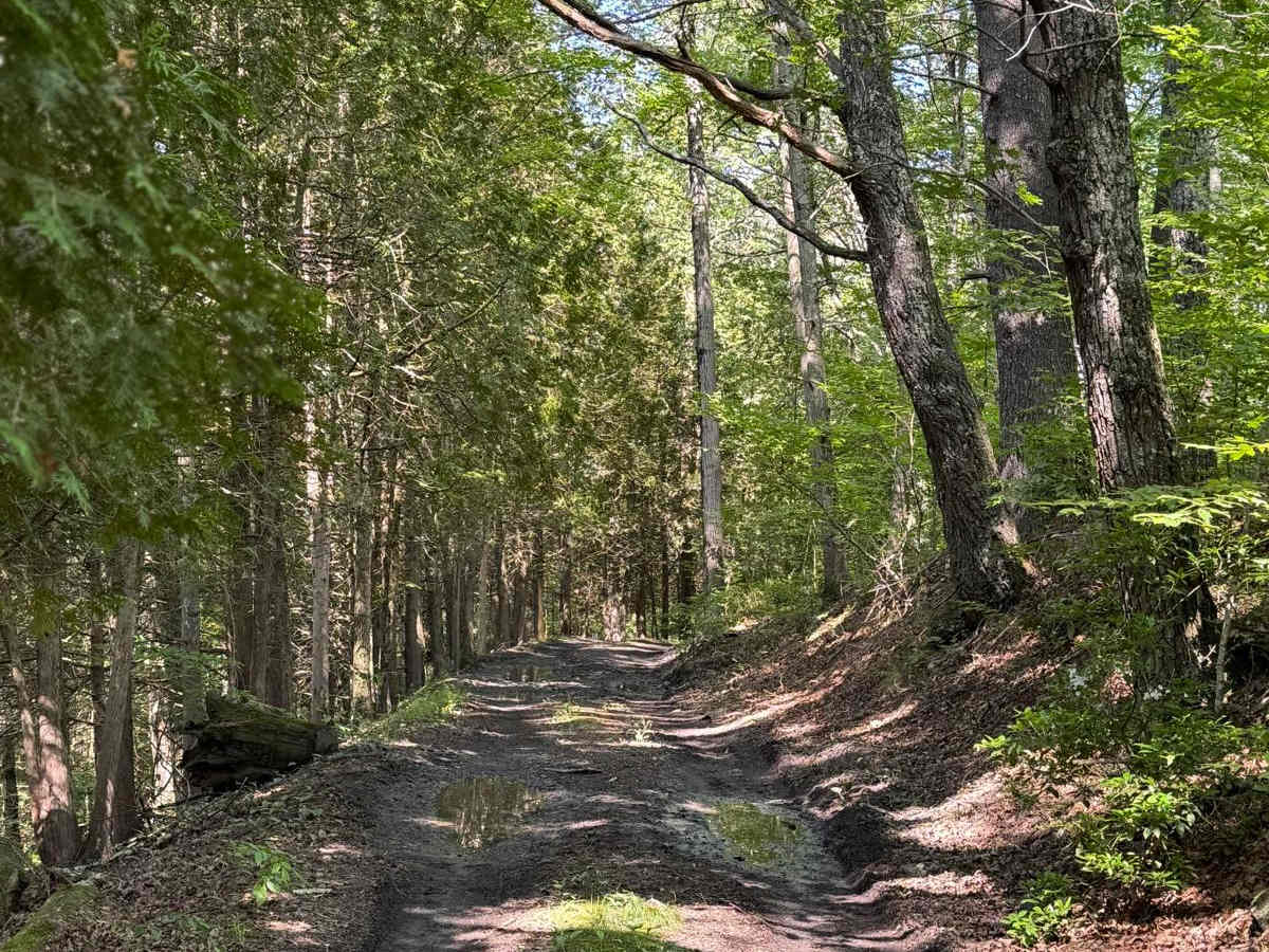 Eastern Boundary Trail photo 3