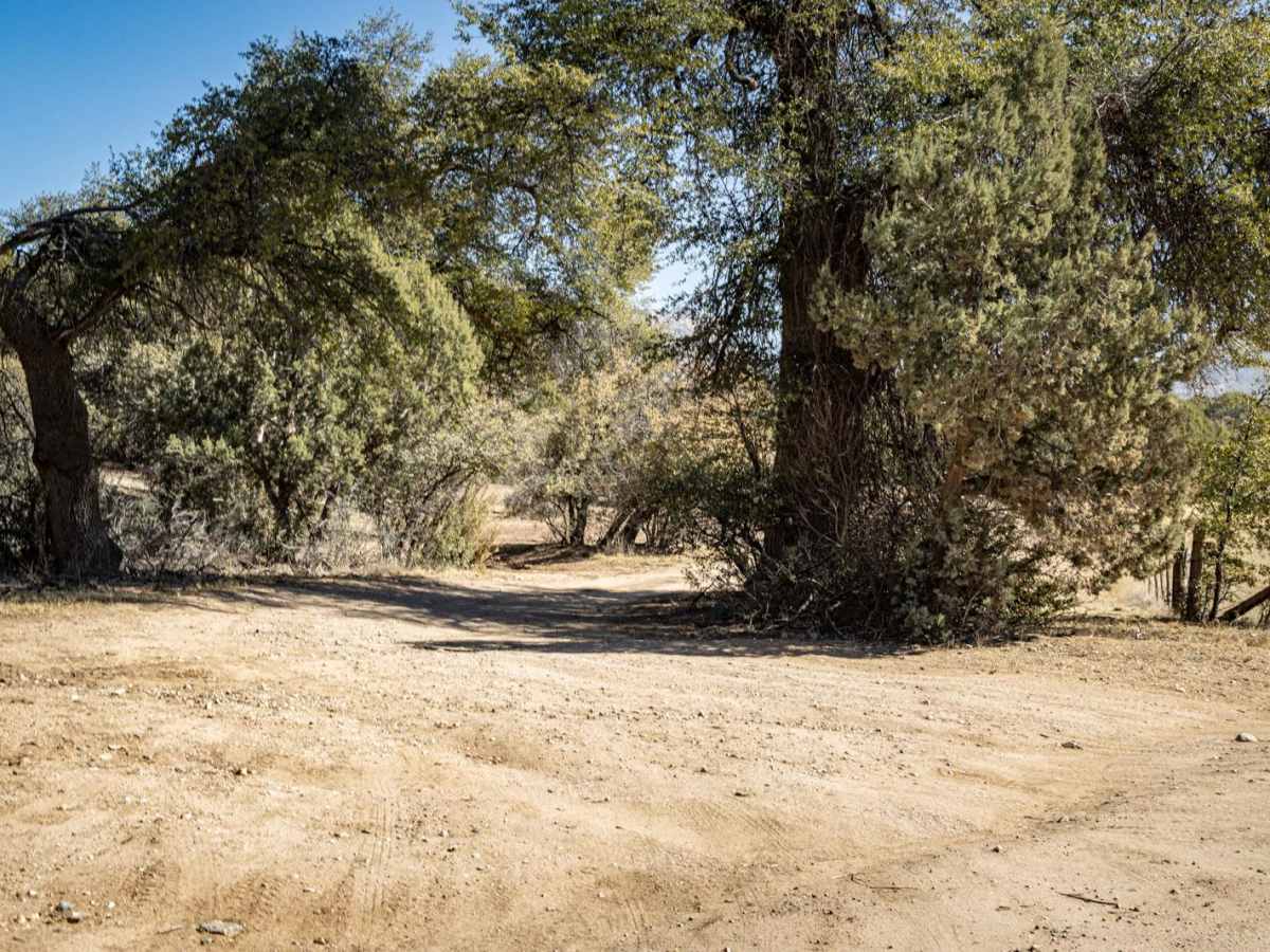 Baker Spring trail photo