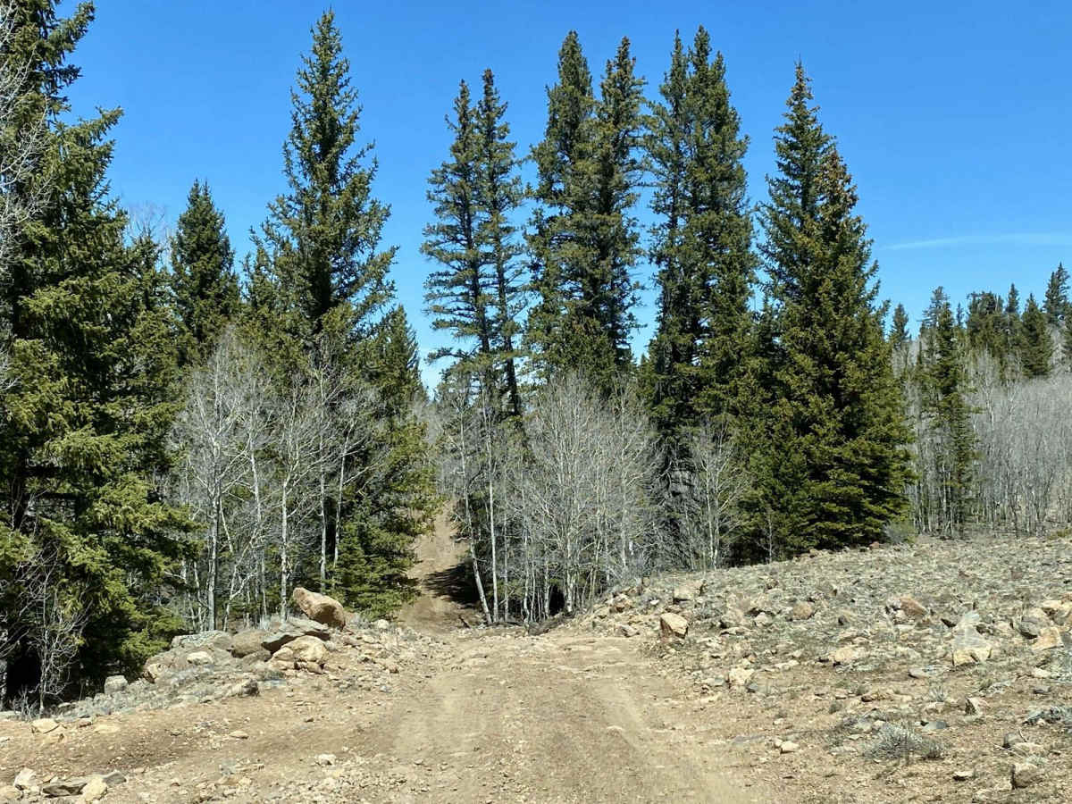 Polliwog-Big Swale - FR 129 photo 3