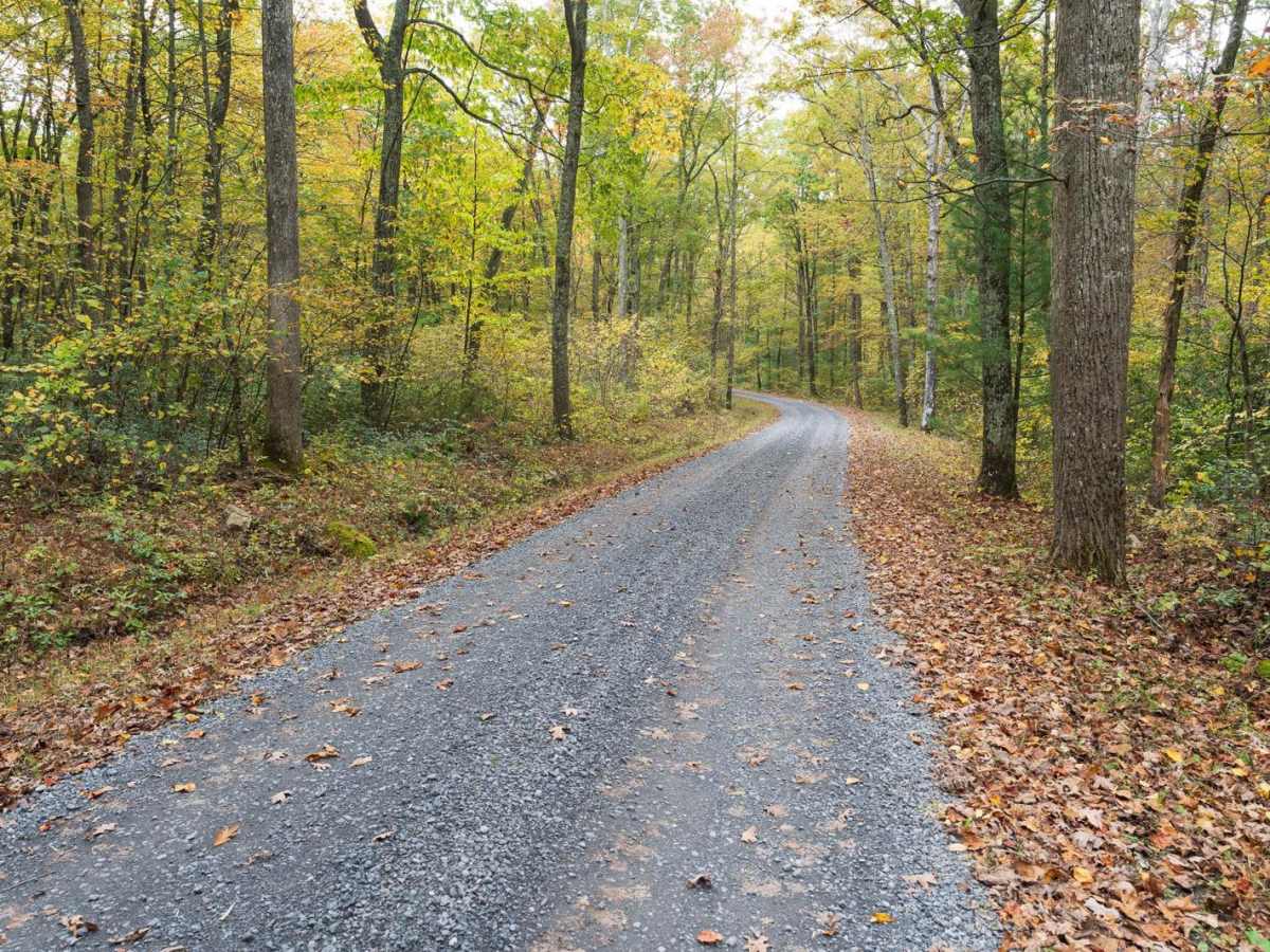 Pine Swamp Road photo 2
