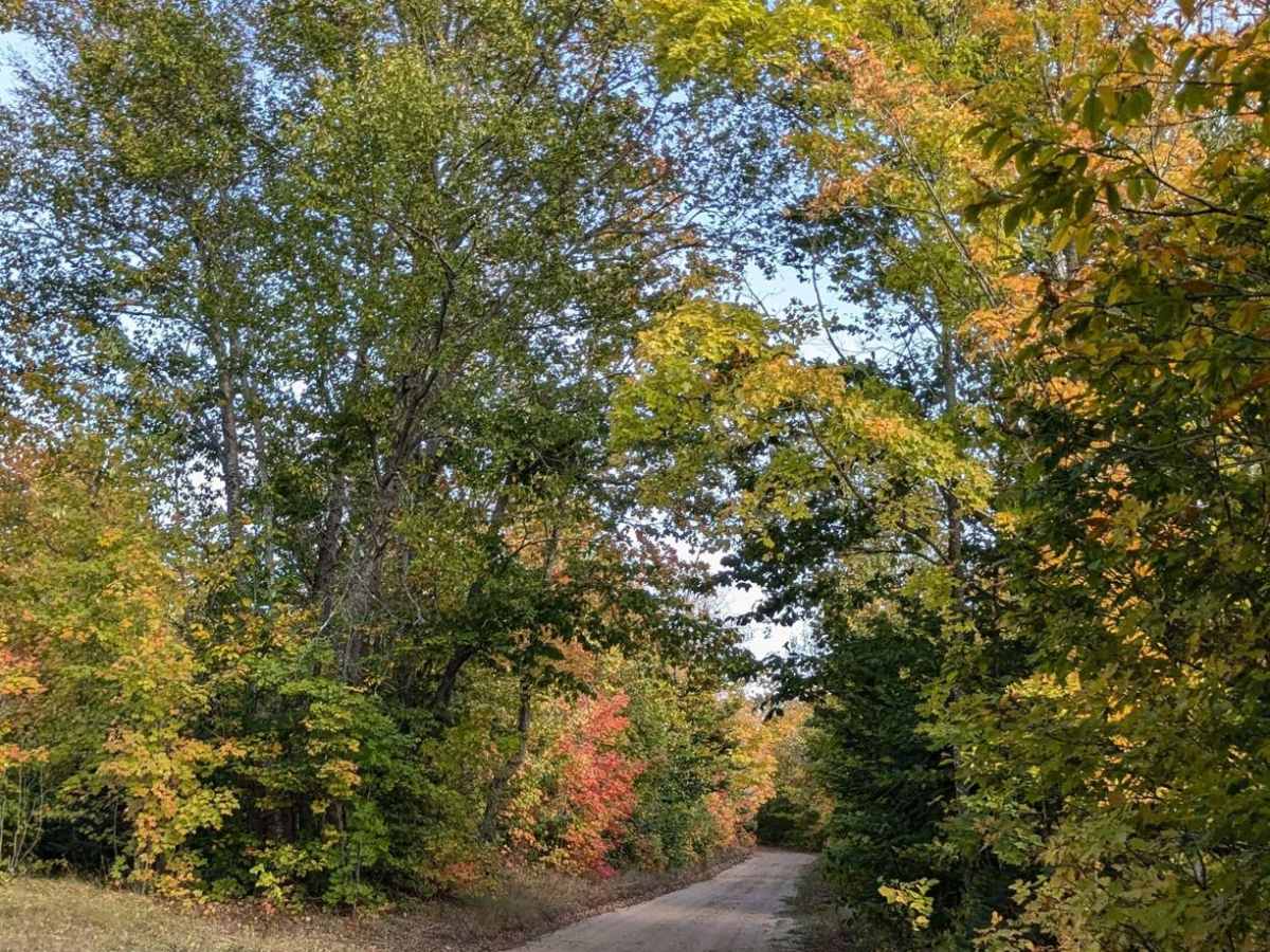 Camp 9 Road photo 4