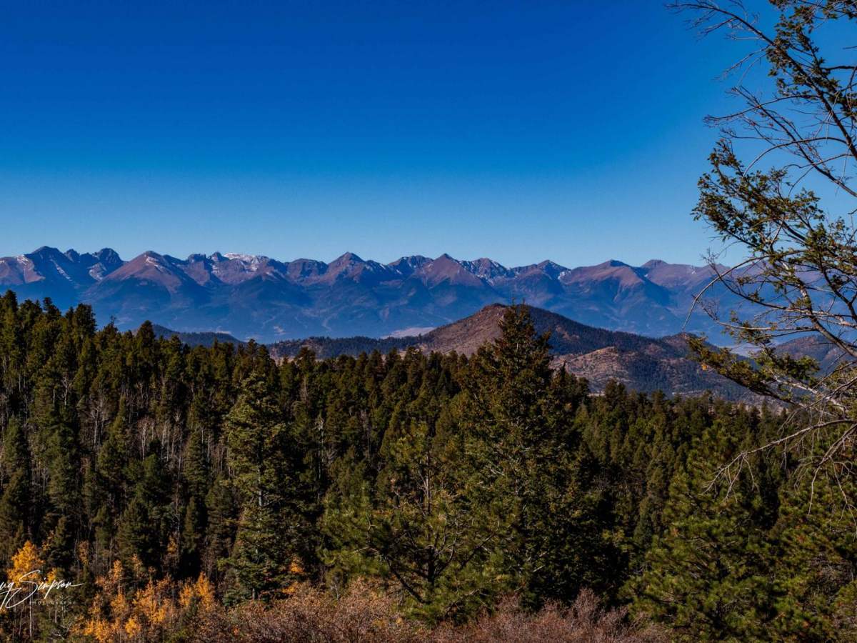 Bear Gulch Road FR 304 photo 3