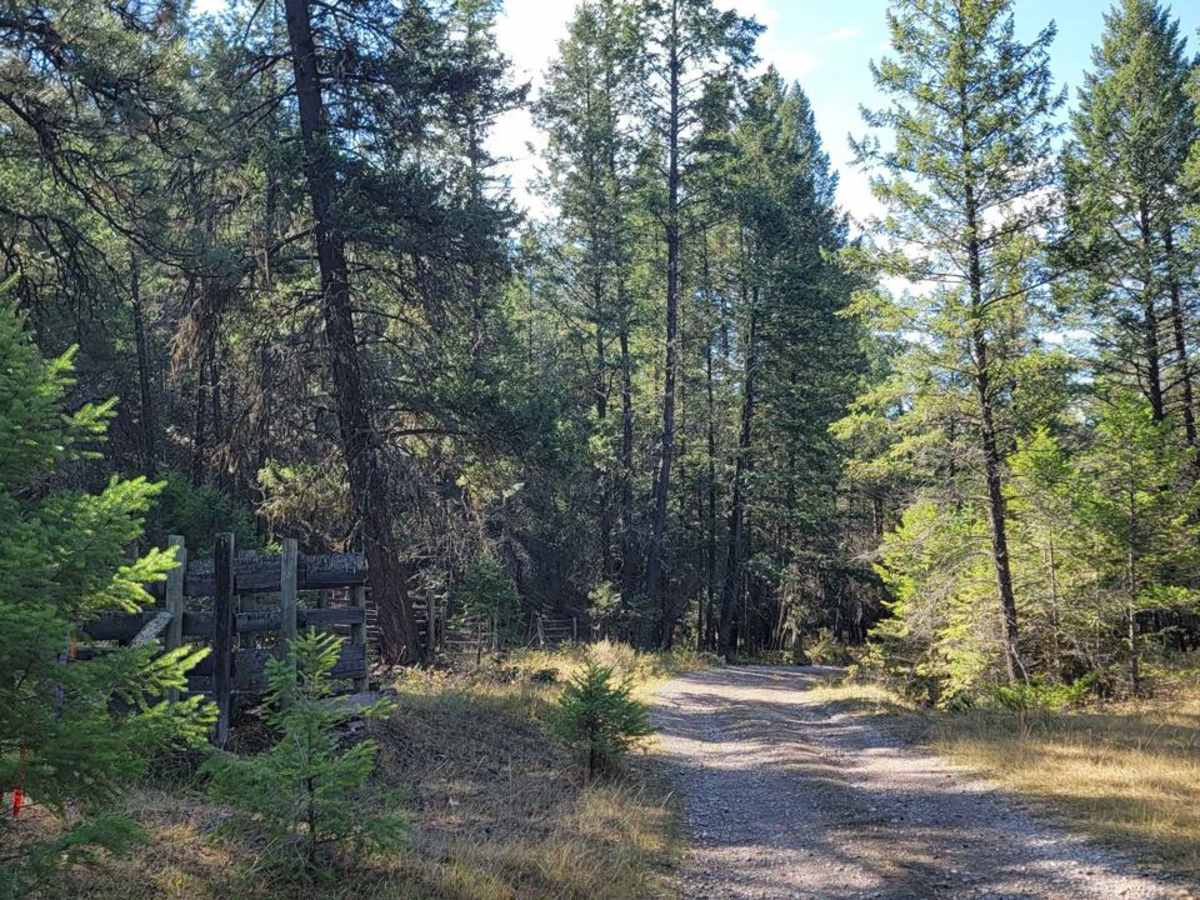 Wasa Sheep Creek Road photo 5