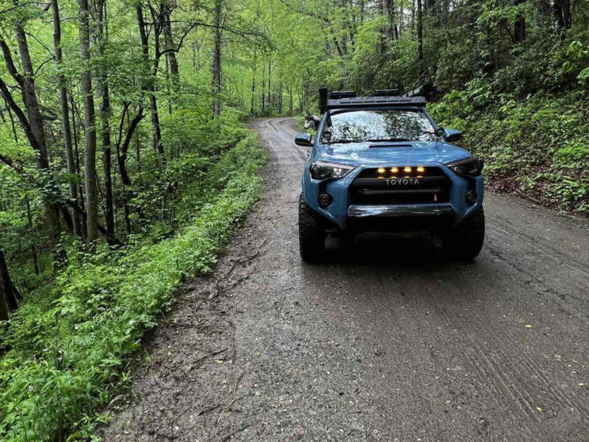 Cooper Creek FS Road 33 photo 5