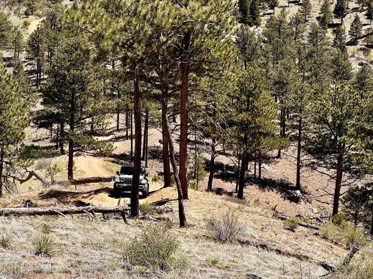 Metberry Gulch (FS 205) trail photo