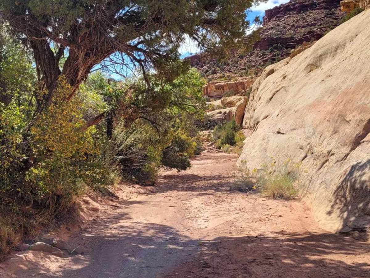 Dry Fork Canyon Road photo 4