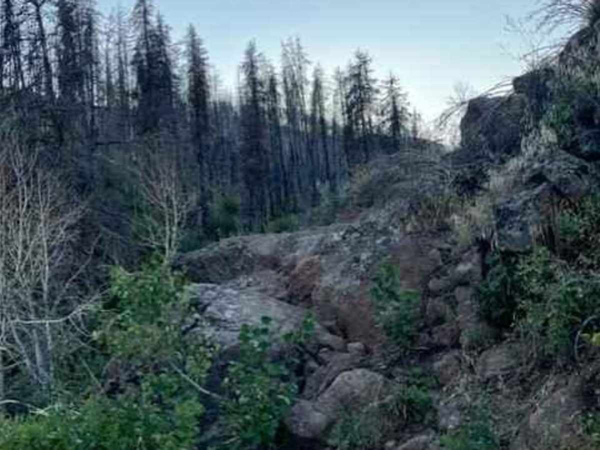 Teepee Rocks via Trapper Creek (7010) and Flatiron (70680) photo 5